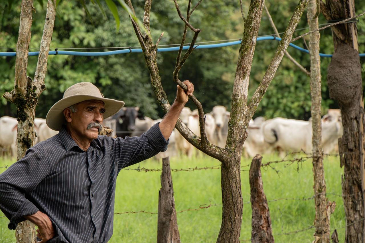 A man standing on his farm