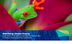 Portada Mobilising climate finance experiences