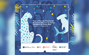 portada de la publicacion