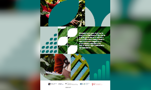 Portada de la publicacion