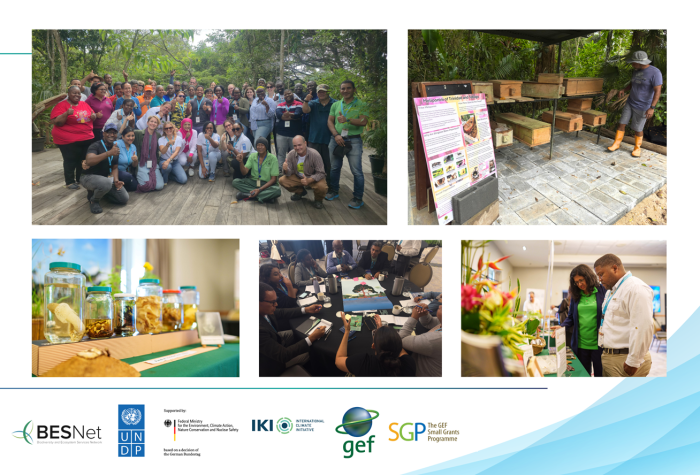 Collage de fotos del proyecto BES Net