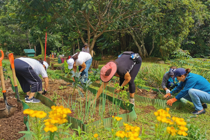 Ciudad Dulce Jardines