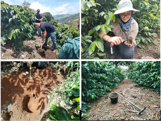 Collage de fotos del proyecto SCALA