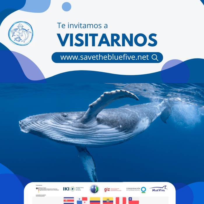 Pantallazo Save the Blue Five