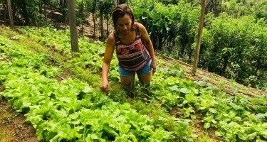 mujer afrodescendiente realianado tareas en huerta