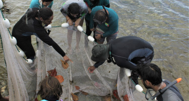 Seagrass research workshops