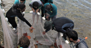 Workshop participants in Trinidad examine catch in seine net at William Bay