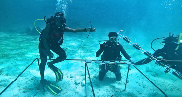 Caribbean Secures EUR 10 Million Top-Up for Ecosystem-Based Adaptation (EbA) Facility