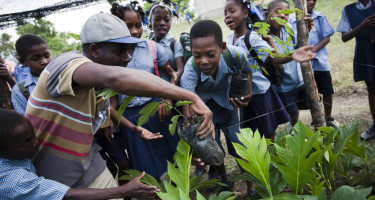 Taller escuelas Haití