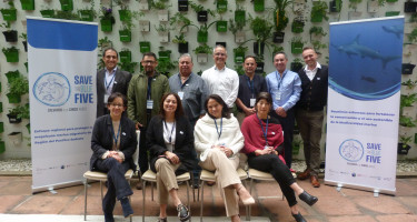 Proyecto Save The Blue Five inicia su ejecución en la región