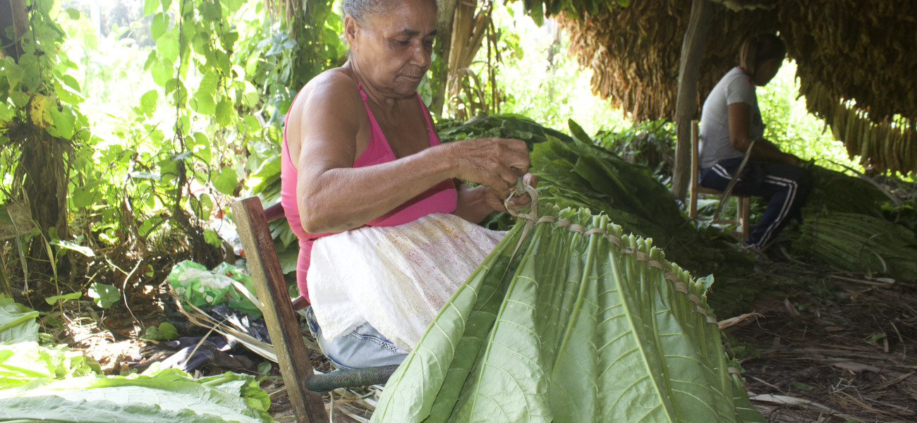 Mujer haciendo una salta de tabaco durante el dialogo comunitario en Santiago