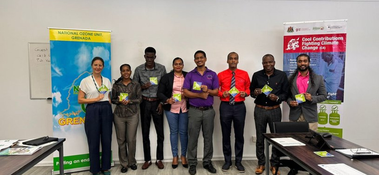 Group Picture of the National Ozone Officer, the C4 II project team and representatives from major cooling suppliers in Grenada (Modern Electrical Solutions, Cooling Tech, Comfort Air and Courts). © GIZ Proklima