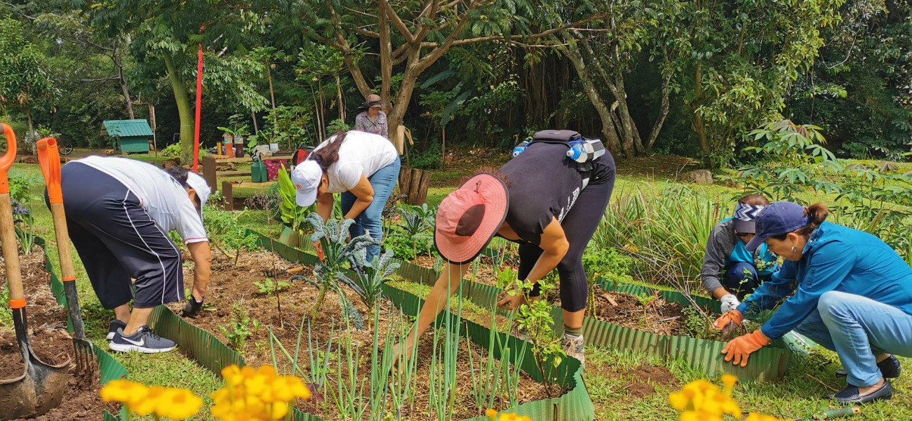 Ciudad Dulce Jardines 