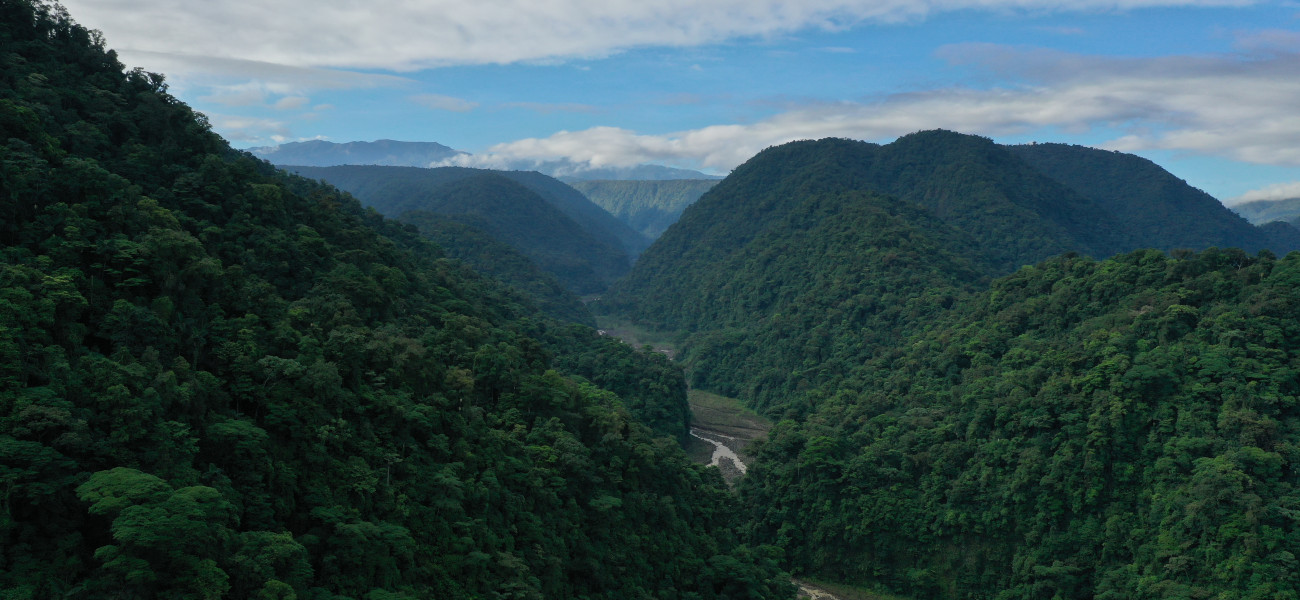 Se muestra el Parque Nacional Braulio Carrillo.  
