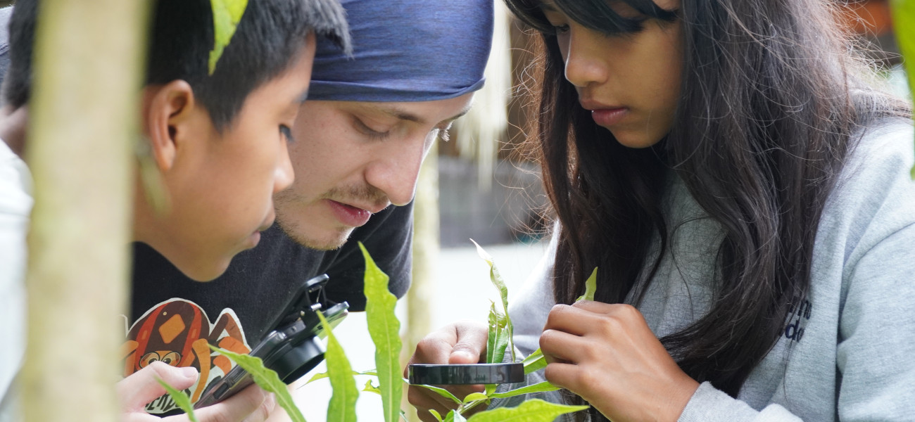 youth watching plants