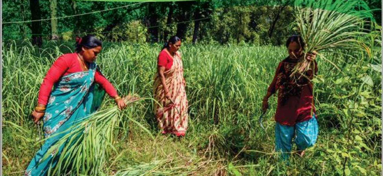 Let S Talk Gender In Eba